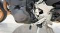 BMW F 900 GS Abs my24 Bianco - thumbnail 11