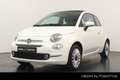 Fiat 500 1.0 68pk Hybrid Dolcevita | Cabrio | Navigatie via Blanco - thumbnail 1