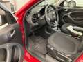 smart forFour smart forfour twinamic passion Weiß - thumbnail 7