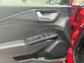 Ford Puma 1.0 Hybrid Aut. ST-LINE *ACC *CAM *PDC Rot - thumbnail 12