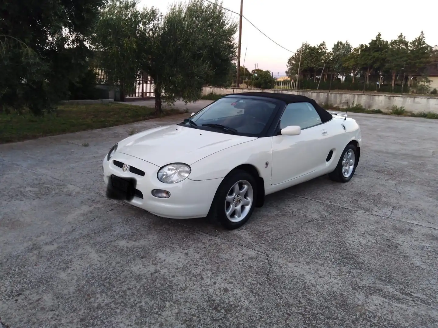 MG MGF MG+F/TF+F+1.8i Alb - 1