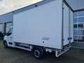 Renault Master Kühlkoffer STAND+FAHRKÜHL THERMOKING DRUC Weiß - thumbnail 5
