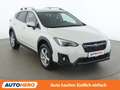 Subaru XV 1.6 Style Navi Weiß - thumbnail 8