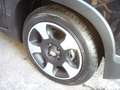 Fiat Panda Cross Pandina 1.0 FireFly Hybrid 5P Nuovo Modell Nero - thumbnail 4