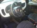 Fiat Panda Cross Pandina 1.0 FireFly Hybrid 5P Nuovo Modell Nero - thumbnail 14