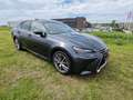 Lexus GS 300 GS 300h President Line Grau - thumbnail 7