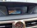 Lexus GS 300 GS 300h President Line Grau - thumbnail 15