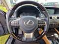 Lexus GS 300 GS 300h President Line Grau - thumbnail 12