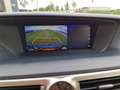 Lexus GS 300 GS 300h President Line Grau - thumbnail 16