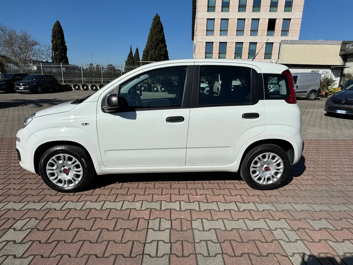 Fiat New Panda 1.2  S.&S. E6D-TEMP EASY 5 POSTI GUIDABILE NEOPA Alb - 1