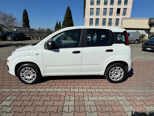 Fiat New Panda 1.2  S.&S. E6D-TEMP EASY 5 POSTI GUIDABILE NEOPA