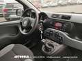 Fiat Panda 1.0 Firefly Hybrid Weiß - thumbnail 5