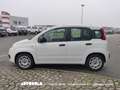Fiat Panda 1.0 Firefly Hybrid Weiß - thumbnail 2