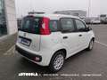 Fiat Panda 1.0 Firefly Hybrid Weiß - thumbnail 3