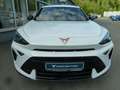 CUPRA Formentor FORMENTOR 1.5 ETSI DSG 5 J. GAR.* AHK-VORB. NAVI Weiß - thumbnail 16