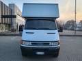 Iveco Daily Bianco - thumbnail 8