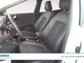 Ford Puma 1.5 EcoBlue ST-Line X Bianco - thumbnail 9