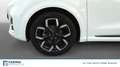Ford Puma 1.5 EcoBlue ST-Line X Bianco - thumbnail 14