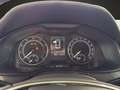 Skoda Kamiq 1.0TSI Ambition / PDC / Smartlink / SHZ Grau - thumbnail 11