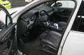 Audi SQ7 4.0 TDI quattro Bose Pano 360 HUD AHK Weiß - thumbnail 36