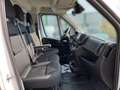 Fiat Ducato Serie 2 Maxi Pritsche L2S 3500 140 MT Weiß - thumbnail 6