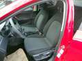 SEAT Ibiza 1,0 Austria Edition**Klima**Tempomat**1.Bes. Rot - thumbnail 13