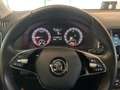 Skoda Karoq Karoq 2.0 tdi evo Executive 115cv dsg Schwarz - thumbnail 20