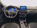 Ford Kuga 1.5 ecoblue ST-Line X 2wd 120cv auto Gris - thumbnail 6
