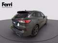Ford Kuga 1.5 ecoblue ST-Line X 2wd 120cv auto Gris - thumbnail 4