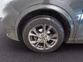 Ford Kuga 1.5 ecoblue ST-Line X 2wd 120cv auto Gris - thumbnail 14
