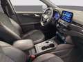 Ford Kuga 1.5 ecoblue ST-Line X 2wd 120cv auto Gris - thumbnail 8