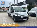 Fiat Ducato PRITSCHE MAXI 35 L4 180MT Weiß - thumbnail 1