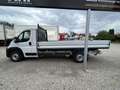 Fiat Ducato PRITSCHE MAXI 35 L4 180MT Weiß - thumbnail 11