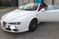 Alfa Romeo Spider 2,2 JTS Alb - thumbnail 2