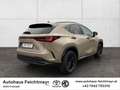 Lexus NX 350h OVERTRAIL AWD 5t. Бежевий - thumbnail 5