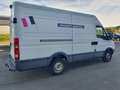 Iveco Daily 35S13V°2.3 JTD°125CH°110.000KMS° Wit - thumbnail 5