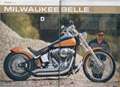 Harley-Davidson Custom Bike Softail Pomarańczowy - thumbnail 2