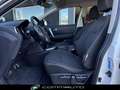 Nissan Qashqai 1.5 dCi AcentaVETTURAPER COMMERCIANTI Bianco - thumbnail 13