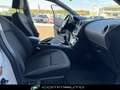 Nissan Qashqai 1.5 dCi AcentaVETTURAPER COMMERCIANTI Blanc - thumbnail 26