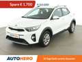 Kia Stonic 1.2 Silber *CAM*CARPLAY&AUTO*KLIMAAUTO* Weiß - thumbnail 1