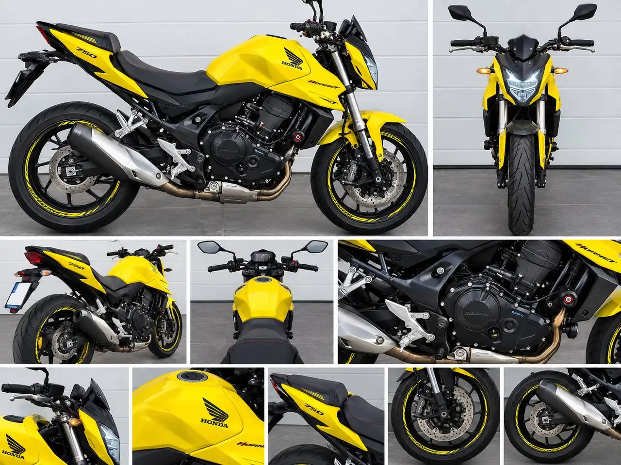 Honda Hornet