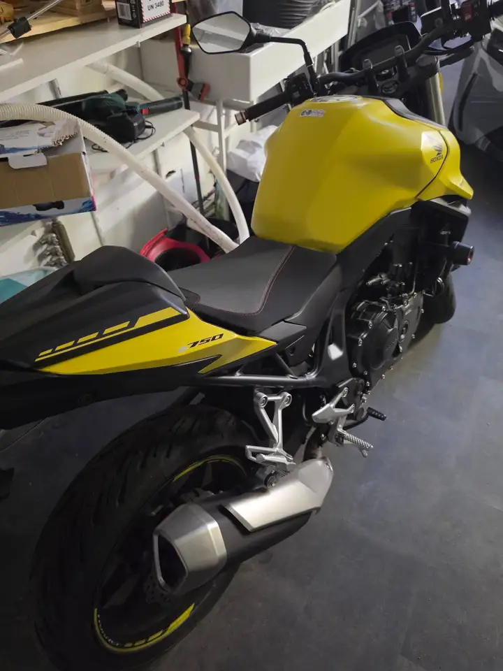 Honda Hornet
