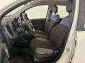 Fiat Panda +Klima +ZV +Original-Radio Wit - thumbnail 15