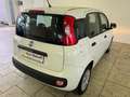 Fiat Panda +Klima +ZV +Original-Radio Wit - thumbnail 6