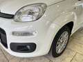Fiat Panda +Klima +ZV +Original-Radio Wit - thumbnail 8