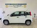 Fiat Panda +Klima +ZV +Original-Radio Wit - thumbnail 7