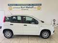 Fiat Panda +Klima +ZV +Original-Radio Wit - thumbnail 1