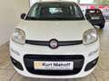 Fiat Panda +Klima +ZV +Original-Radio Wit - thumbnail 3