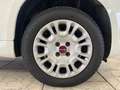 Fiat Panda +Klima +ZV +Original-Radio Wit - thumbnail 9