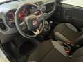 Fiat Panda +Klima +ZV +Original-Radio Wit - thumbnail 13